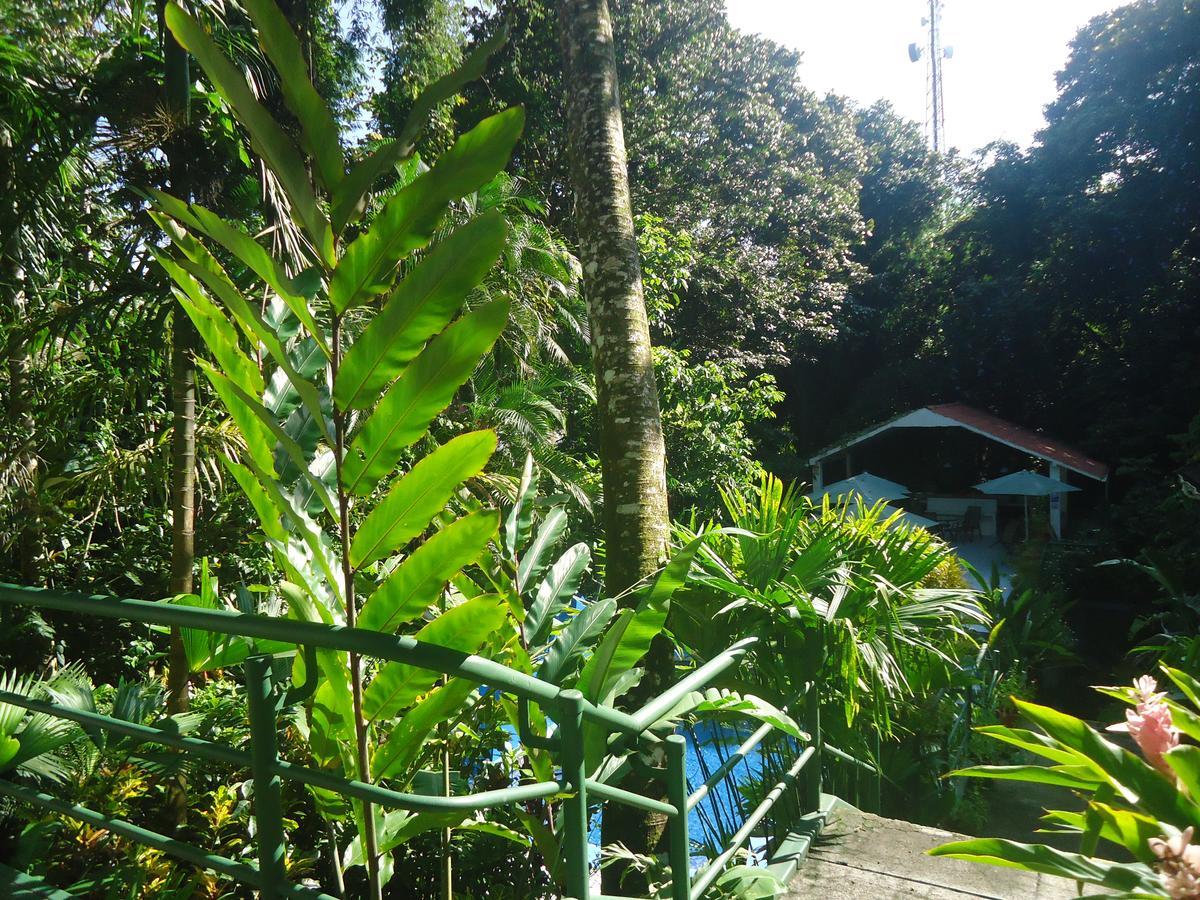 Mandarina Hotel Quepos