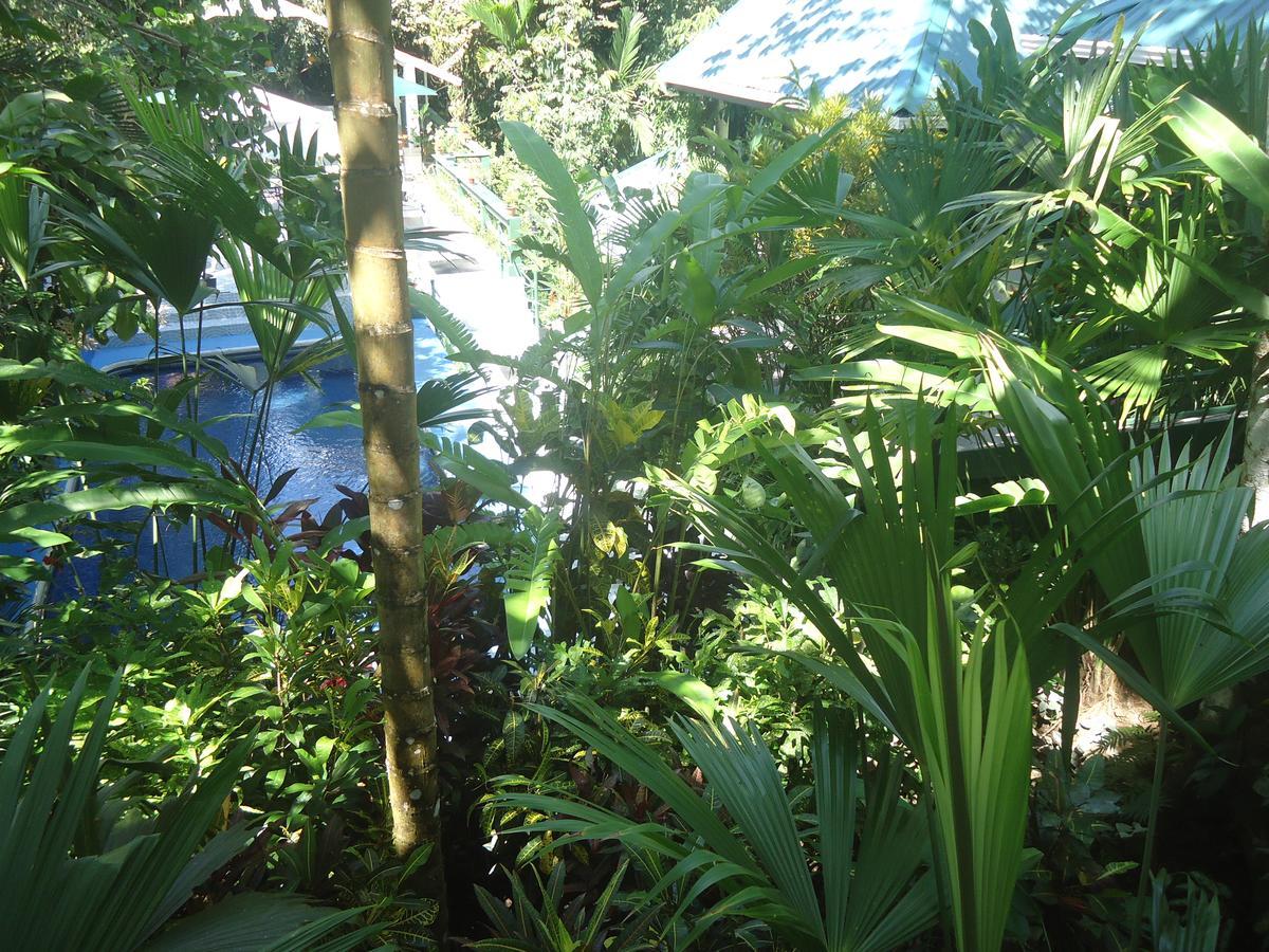 Mandarina Hotel