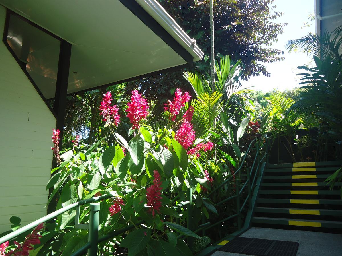 Mandarina Hotel 3*
