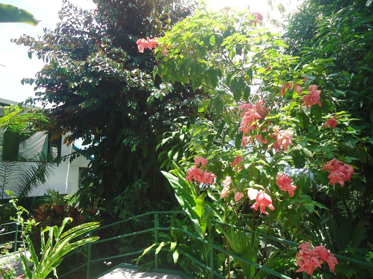 Mandarina 3* Quepos