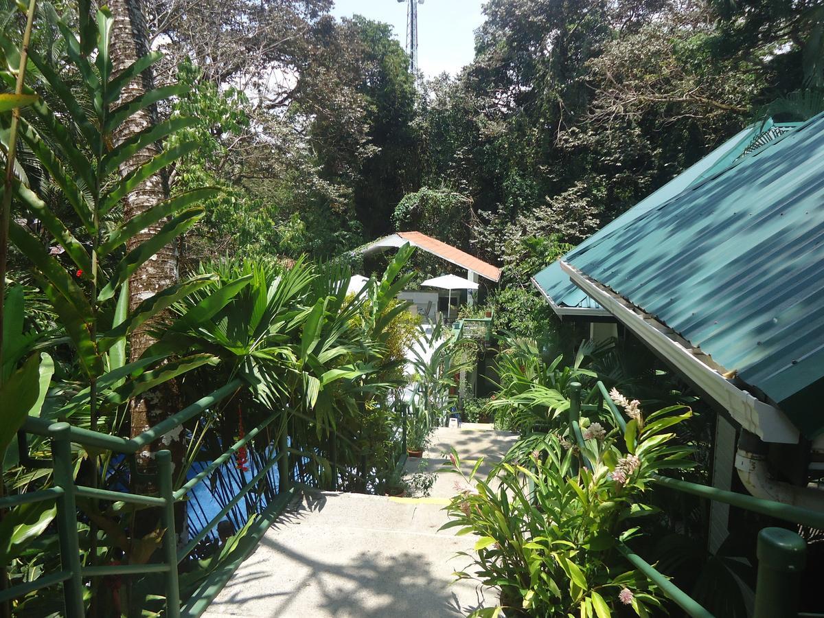 Mandarina Hotel 3*