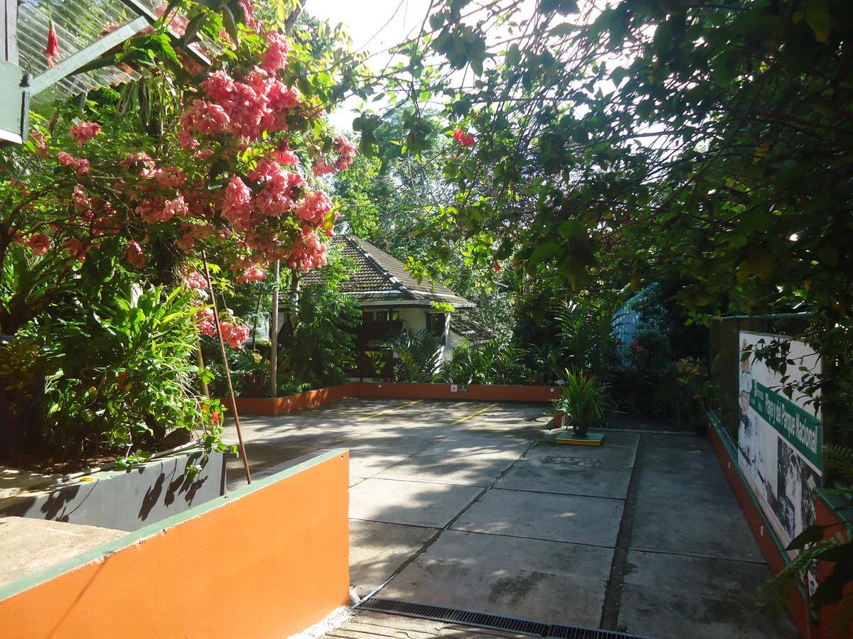 Hotel Mandarina 3*