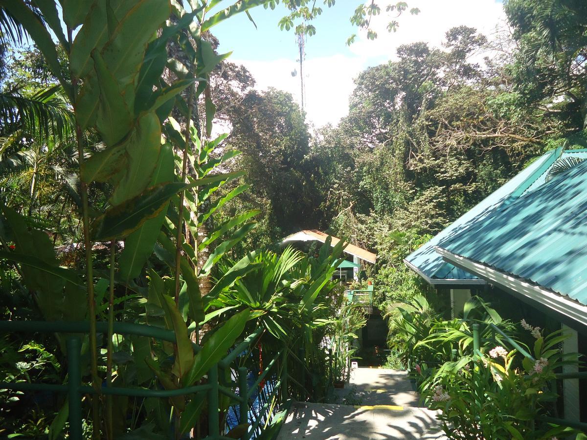 Hotel Mandarina