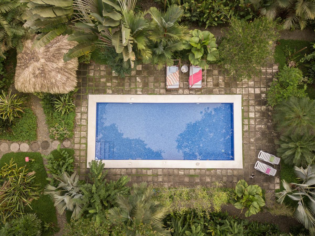Hotel Vip Playa Negra