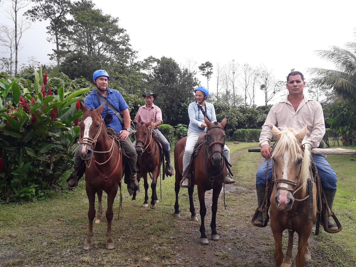 Amistad Cacao * Bijagua