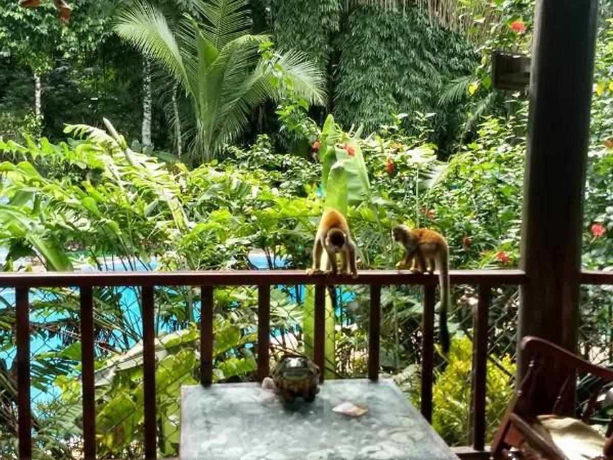 Park House - Adults Only Hotel