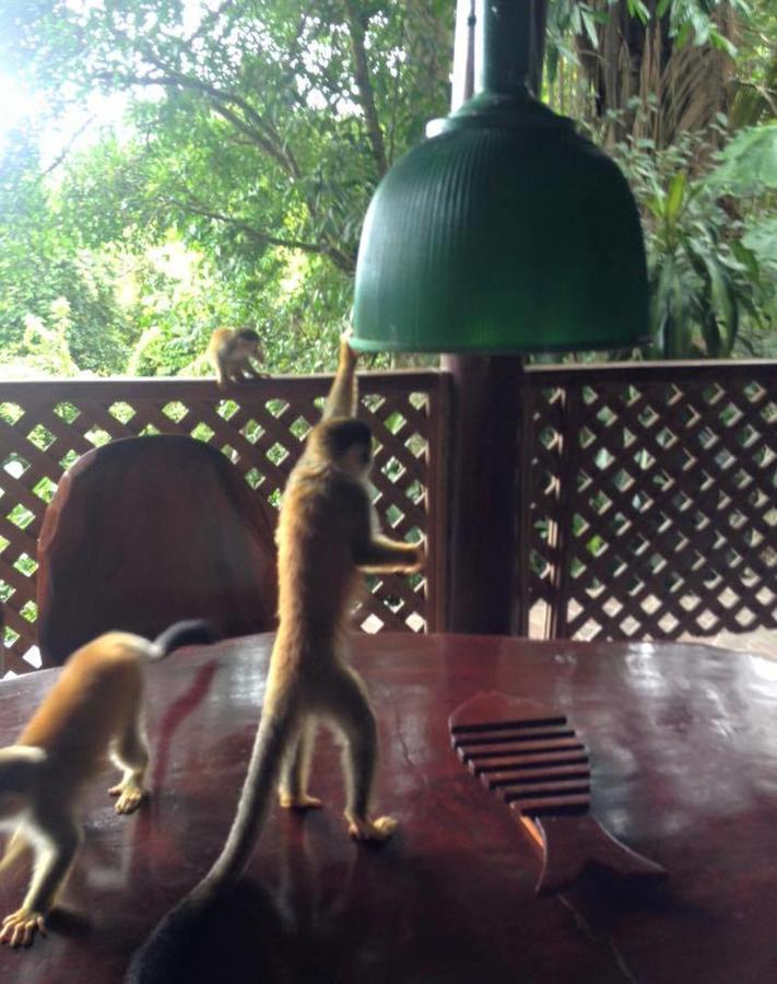 Park House - Adults Only Manuel Antonio