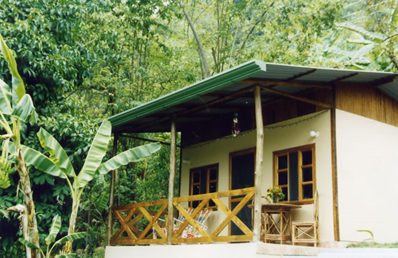 Coconut Grove Oceanfront Cottages