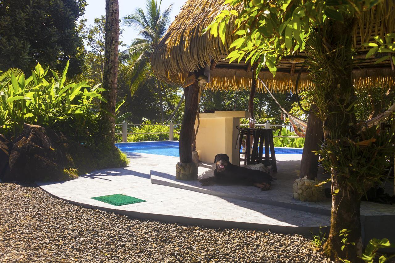 Coconut Grove Oceanfront Cottages * Dominical