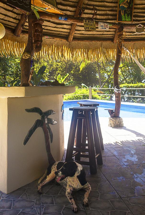 Coconut Grove Oceanfront Cottages Hotel Dominical