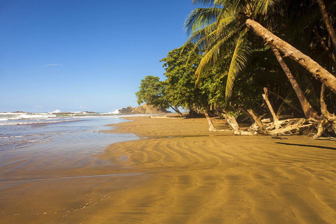 Coconut Grove Oceanfront Cottages Hotel Dominical