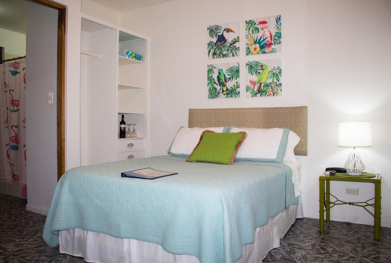 Vista Canyon Bed & Breakfast Santa Ana (San Jose)