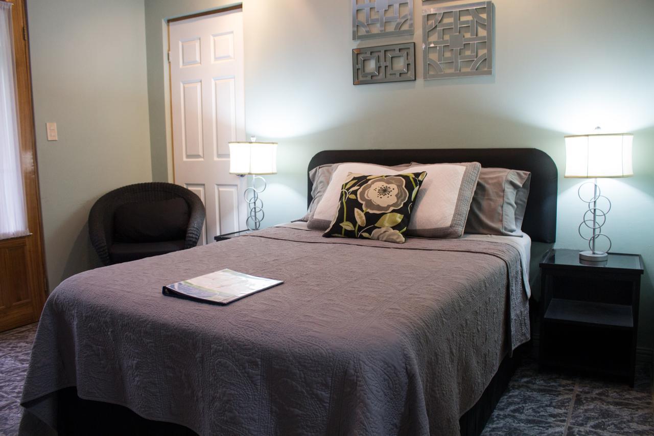 Bed & Breakfast Vista Canyon Santa Ana (San Jose)