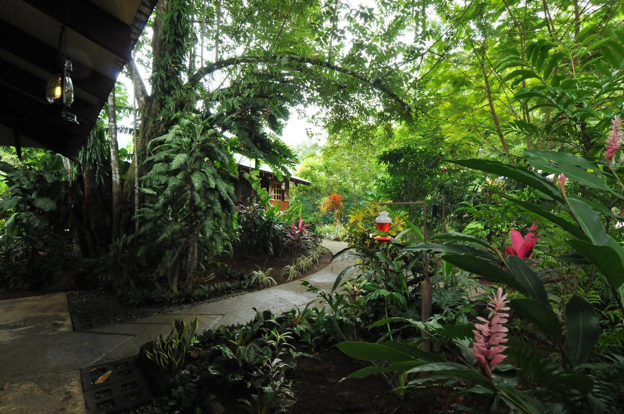Brisas Del Sur
