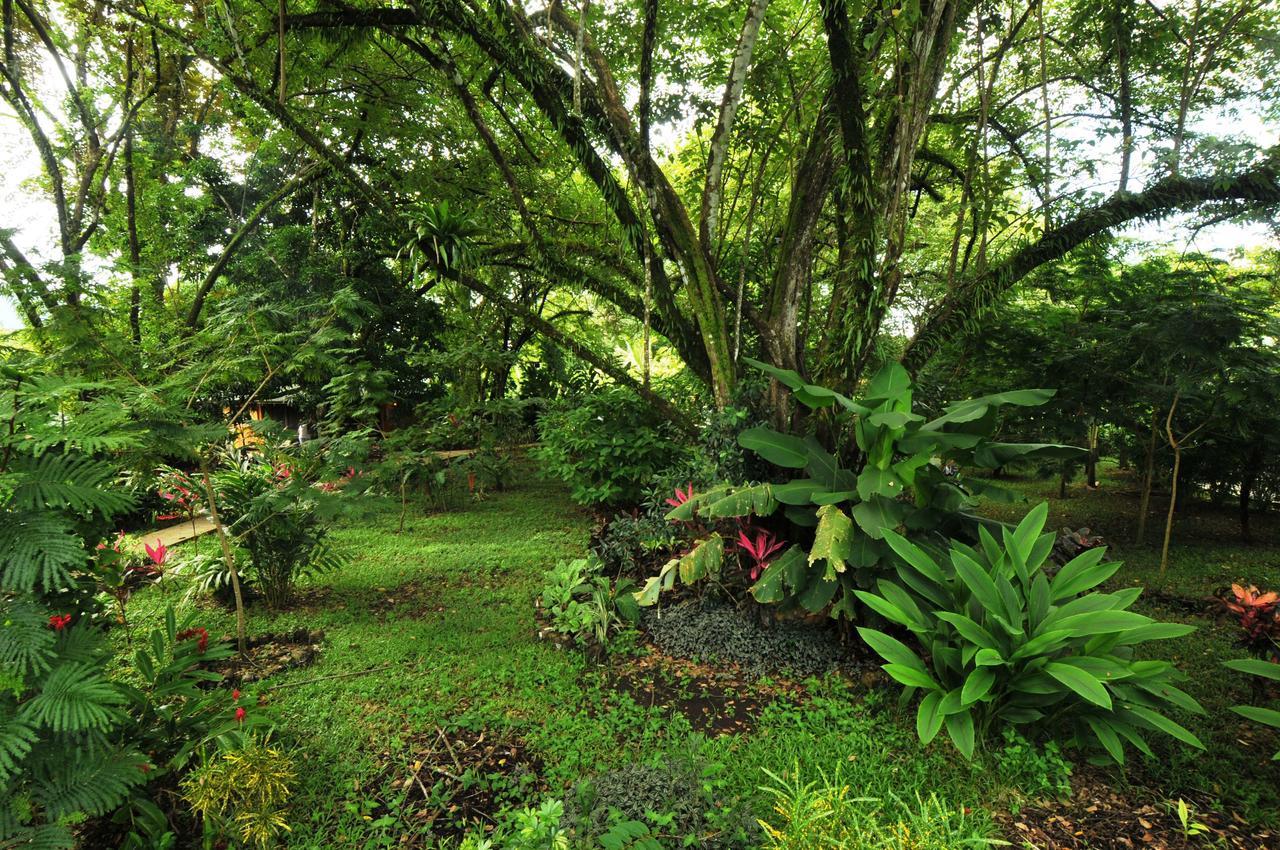 Brisas Del Sur Holiday home Ojochal