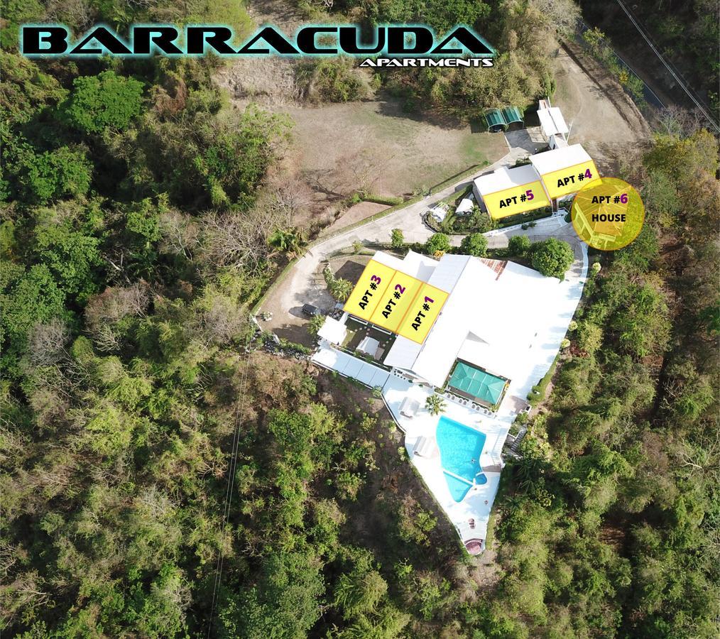 Barracuda