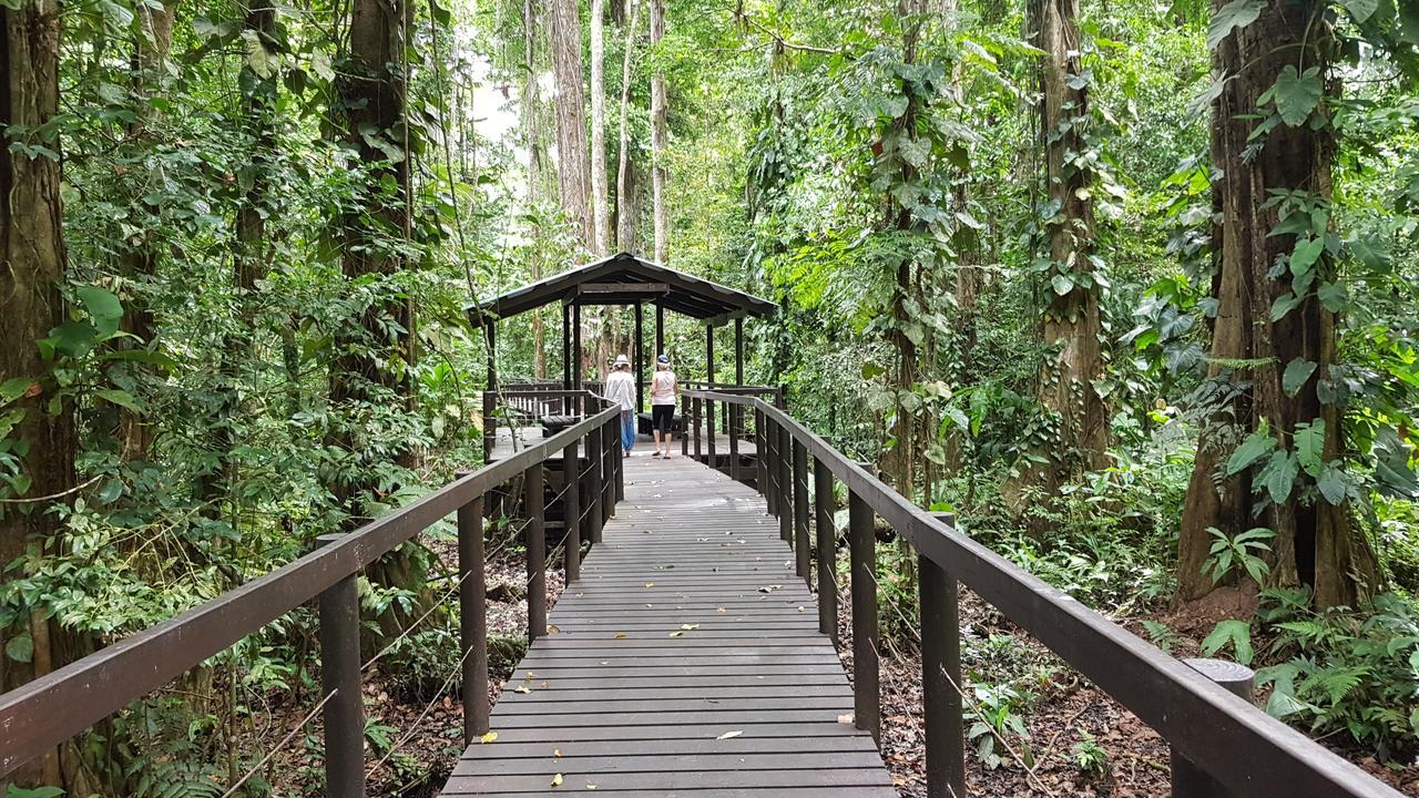 Ciudad Perdida 3*