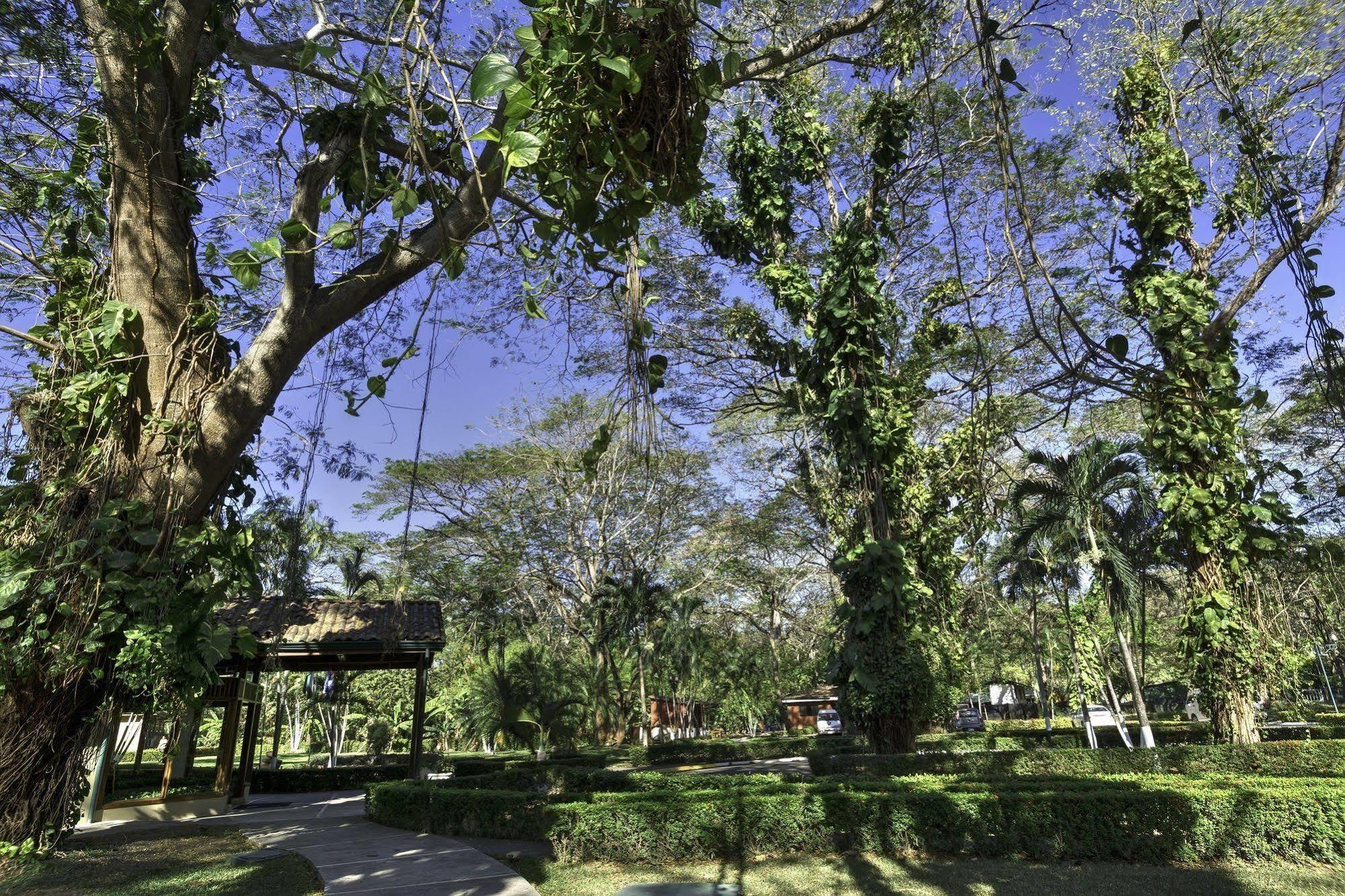 Cc Front Papagayo 4*