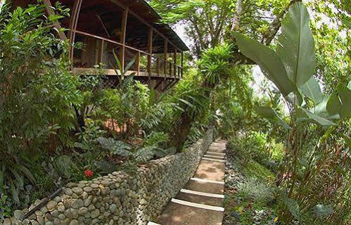 Aguila De Osa Rainforest Hotel