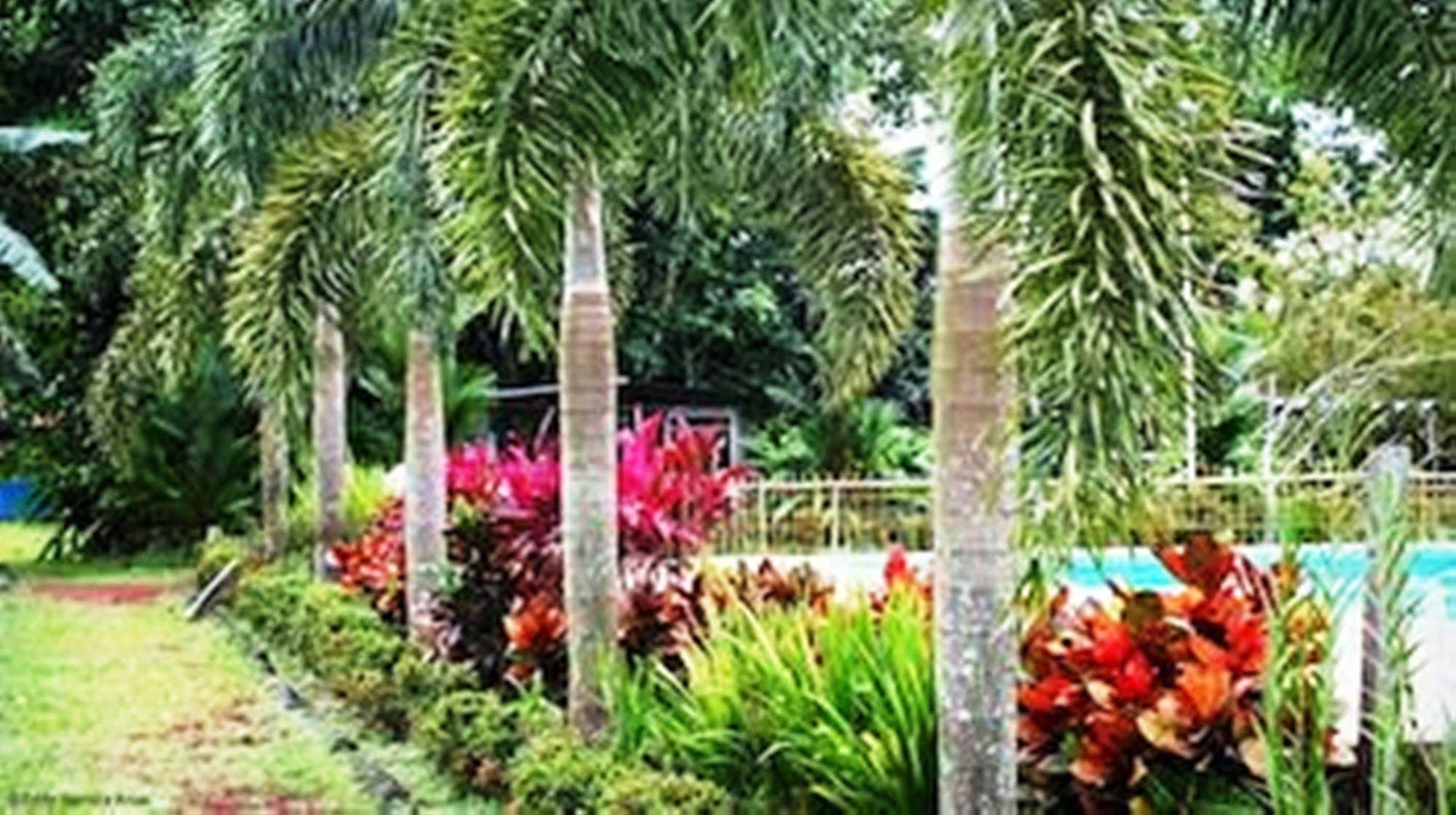 Colores Del Arenal 2* La Fortuna