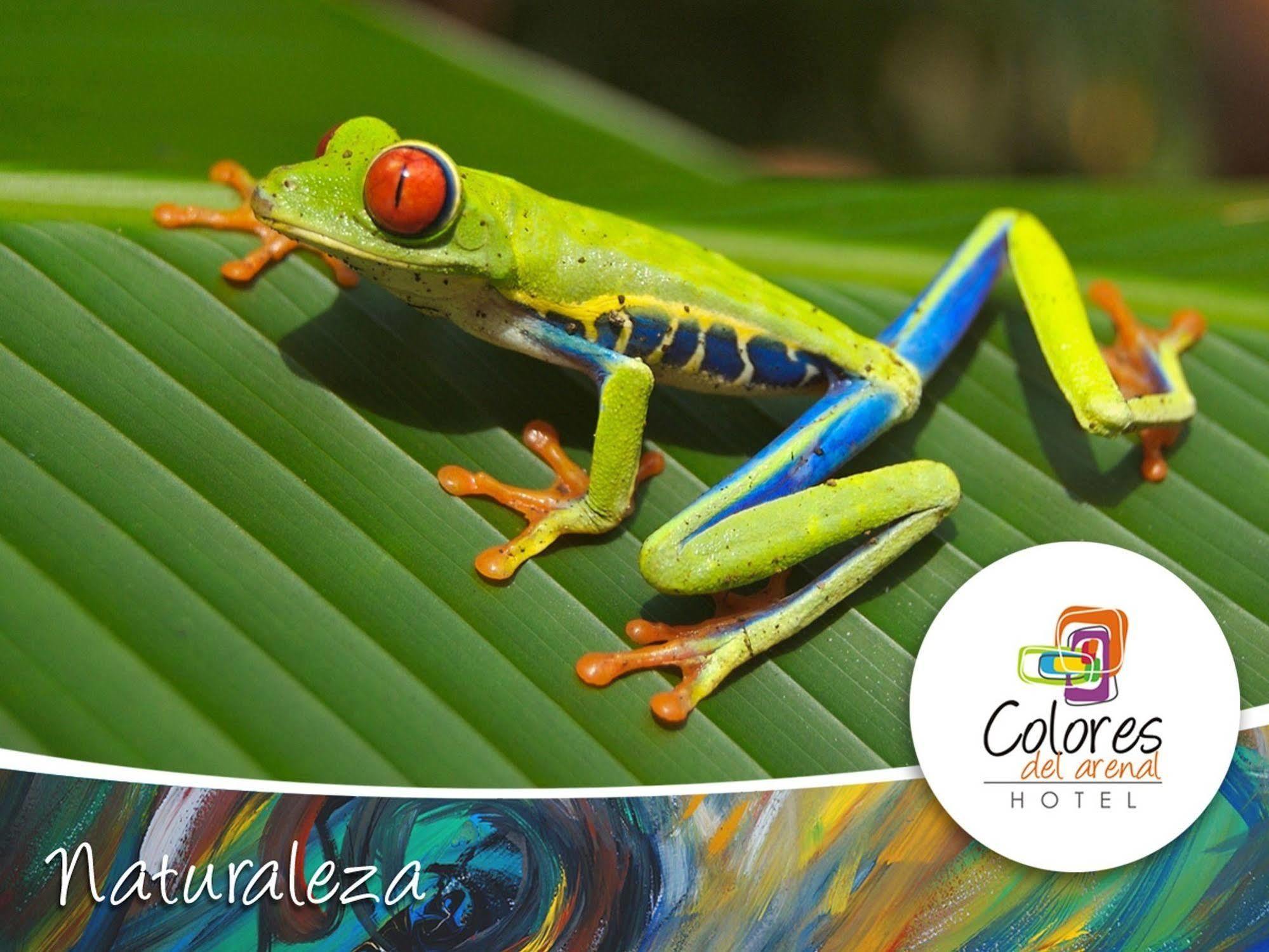 Colores Del Arenal La Fortuna