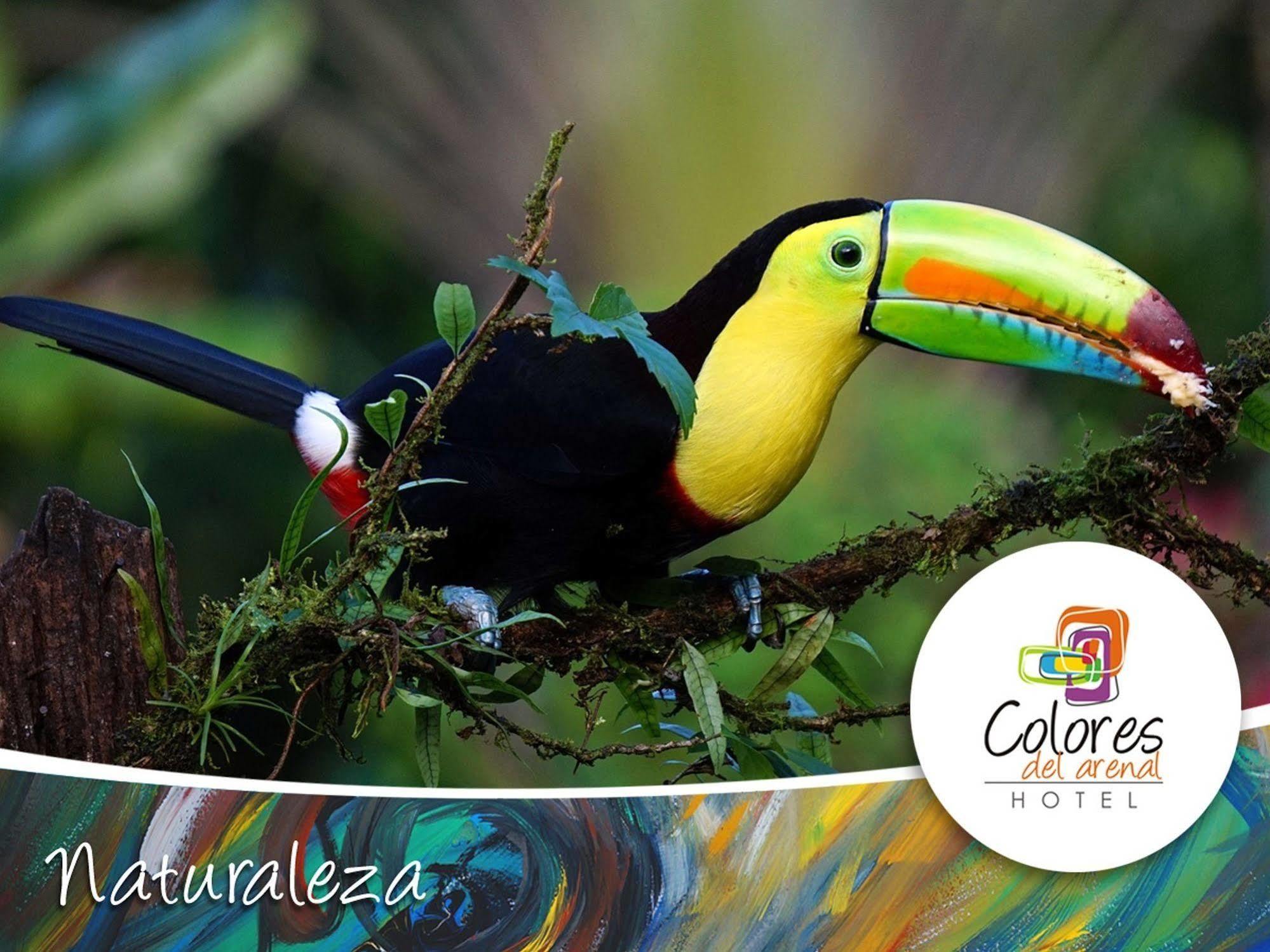 Colores Del Arenal 2* La Fortuna