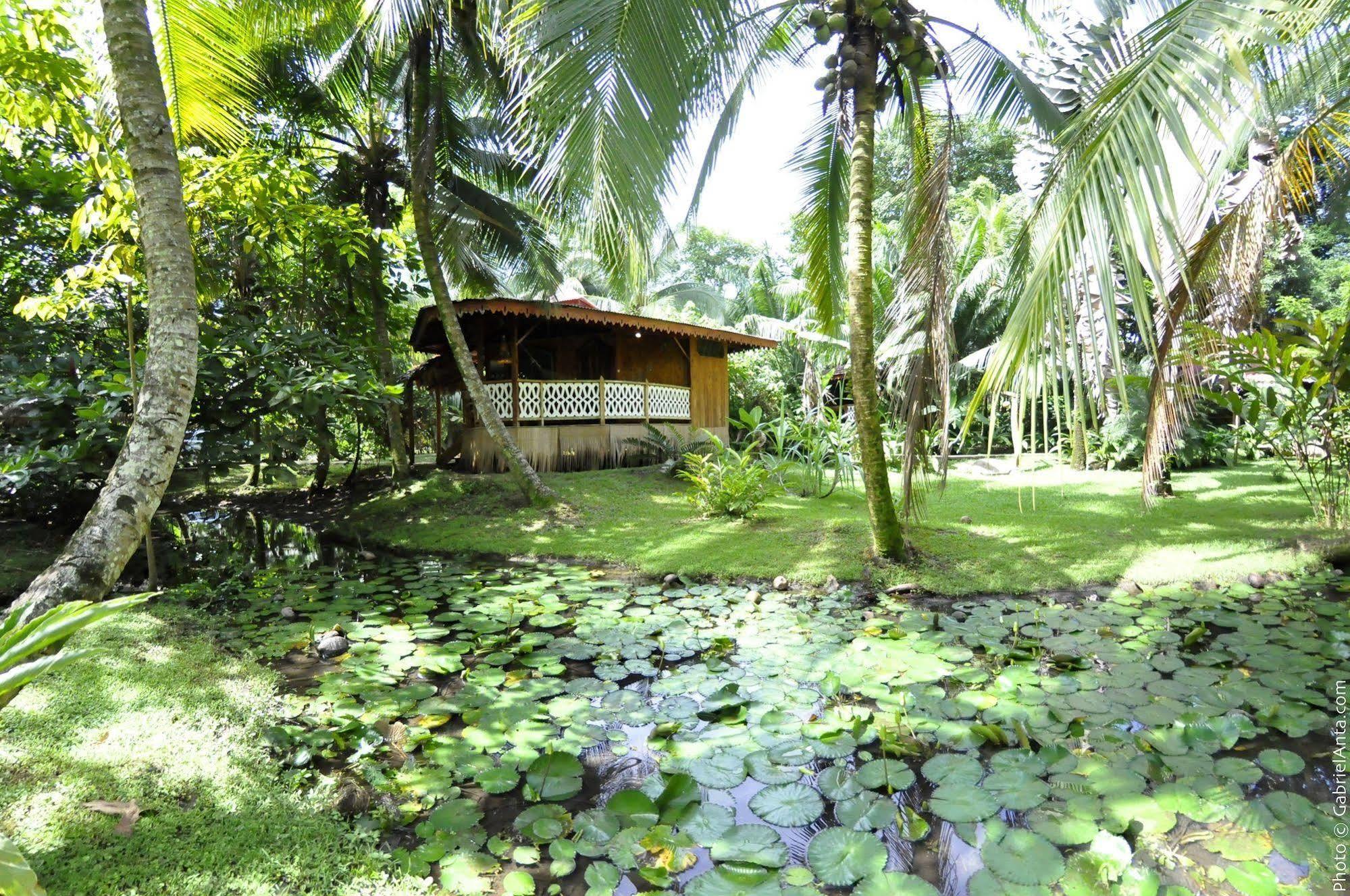 La Costa De Papito Puerto Viejo de Talamanca