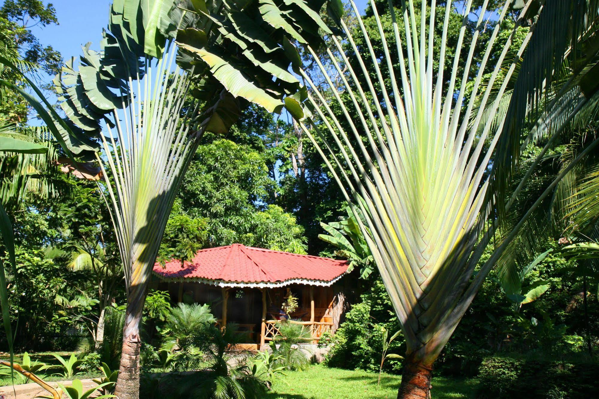 Hotel La Costa De Papito Puerto Viejo de Talamanca