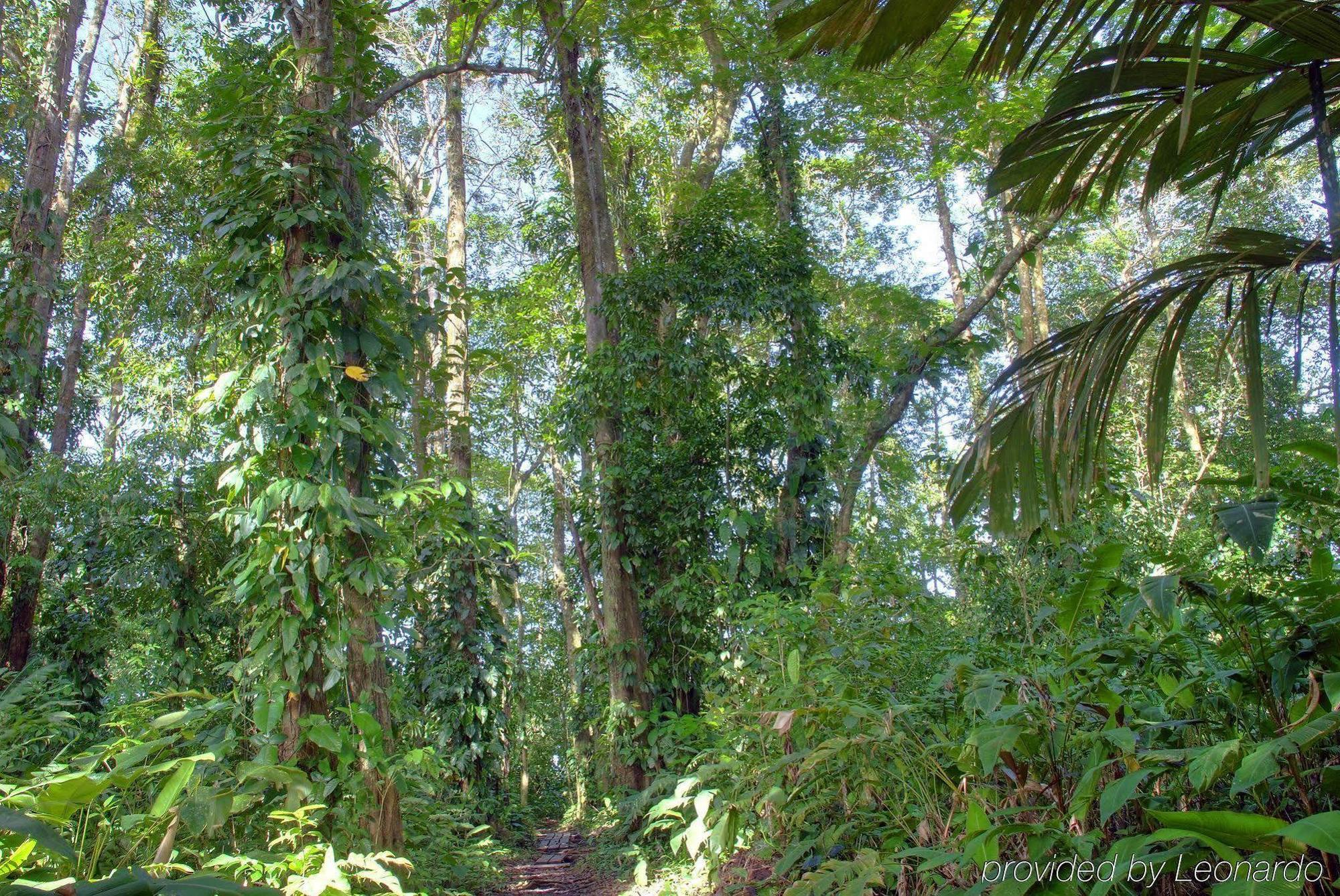 Manatus Hotel Tortuguero