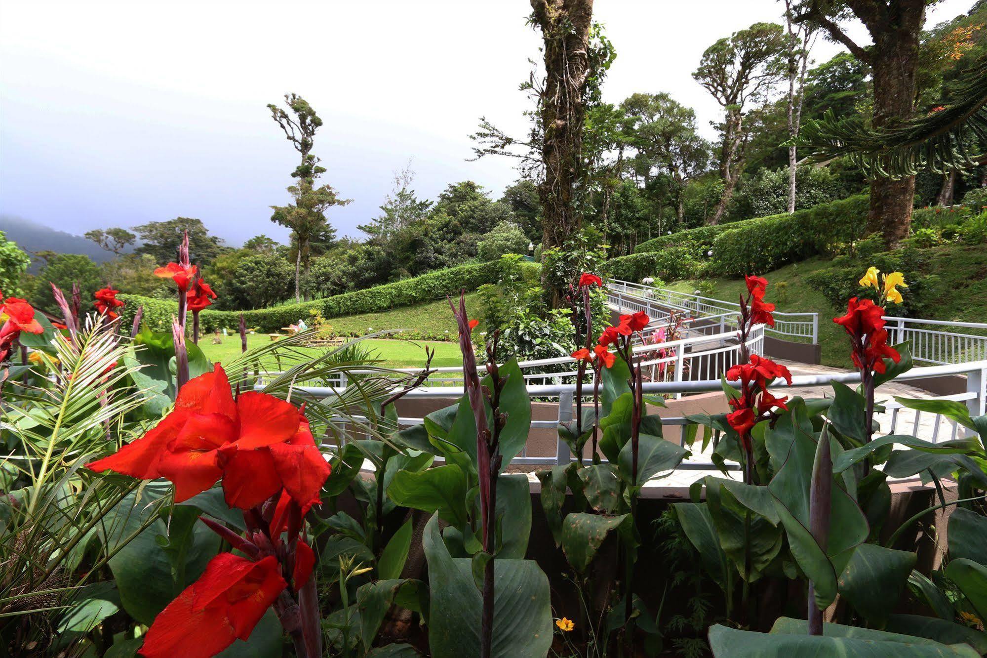 Trapp Family 3* Monteverde