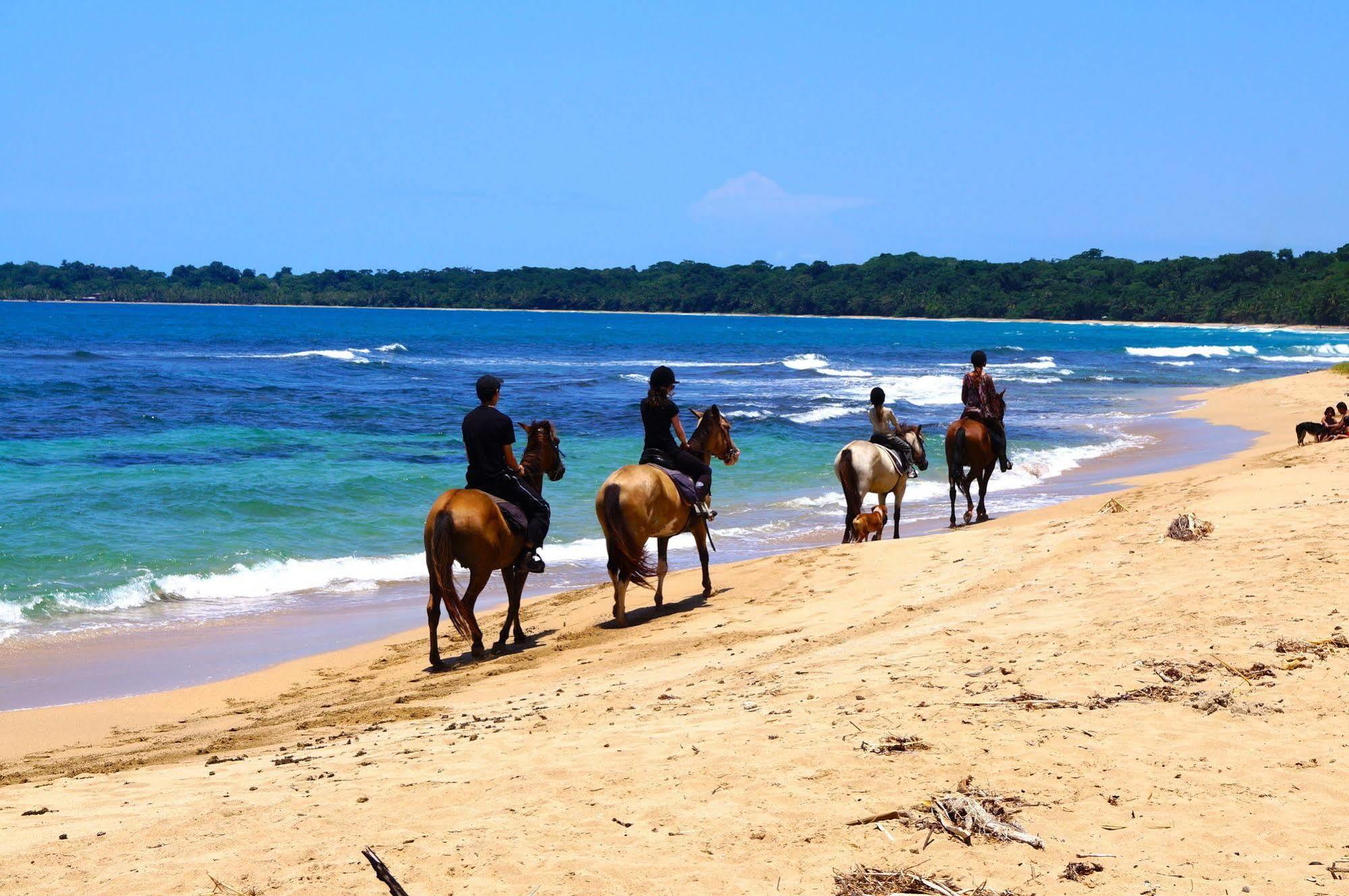 Physis Caribbean 5*