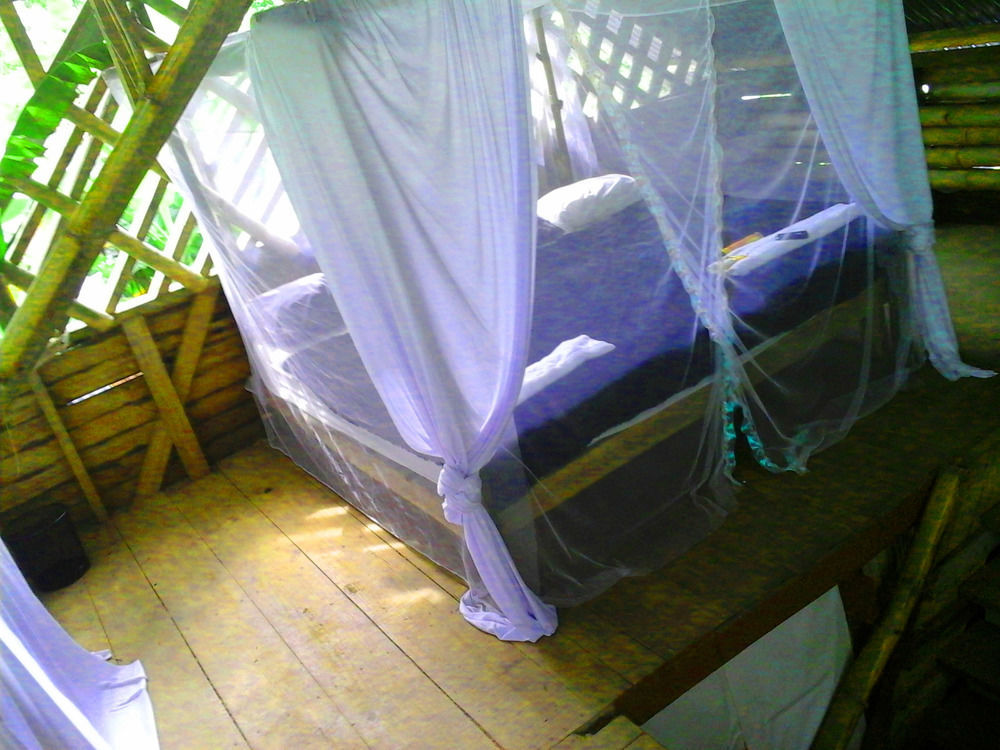 Hostel Blue Butterfly Puerto Viejo de Talamanca