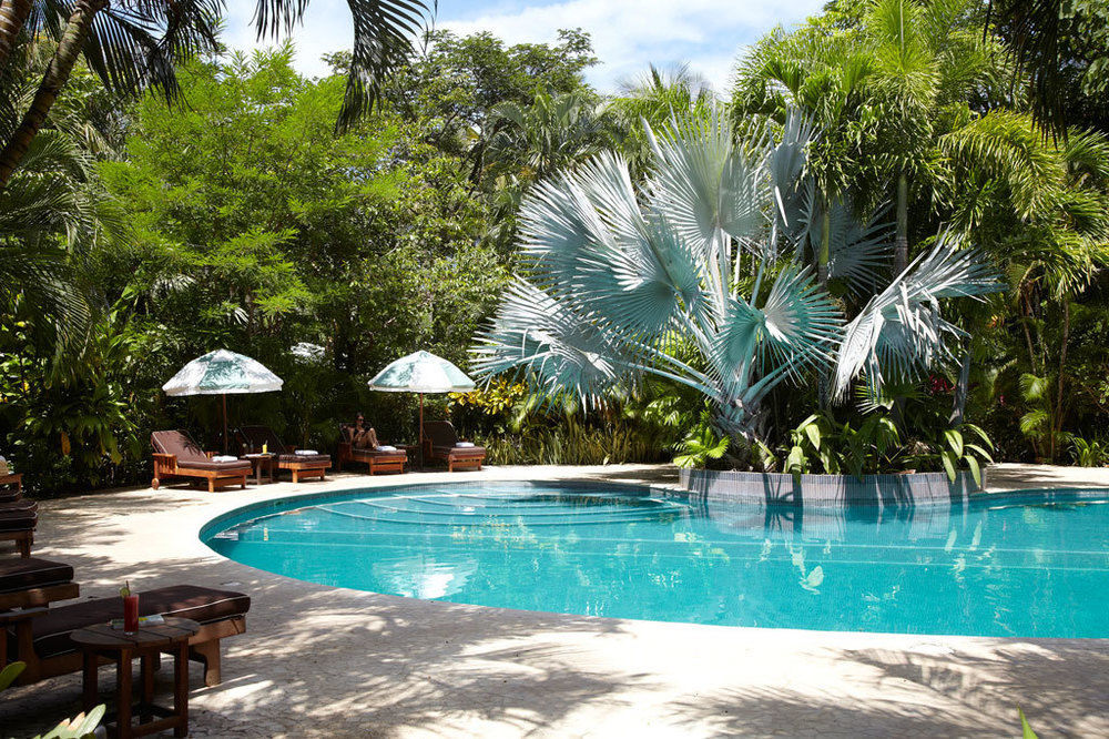 The Harmony Hotel