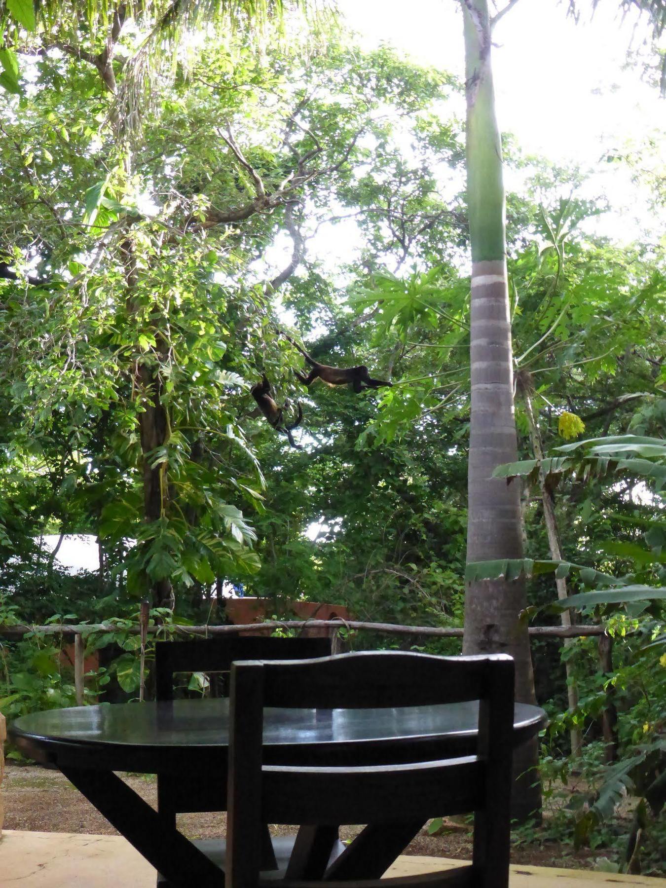 Mundo Milo Eco Lodge