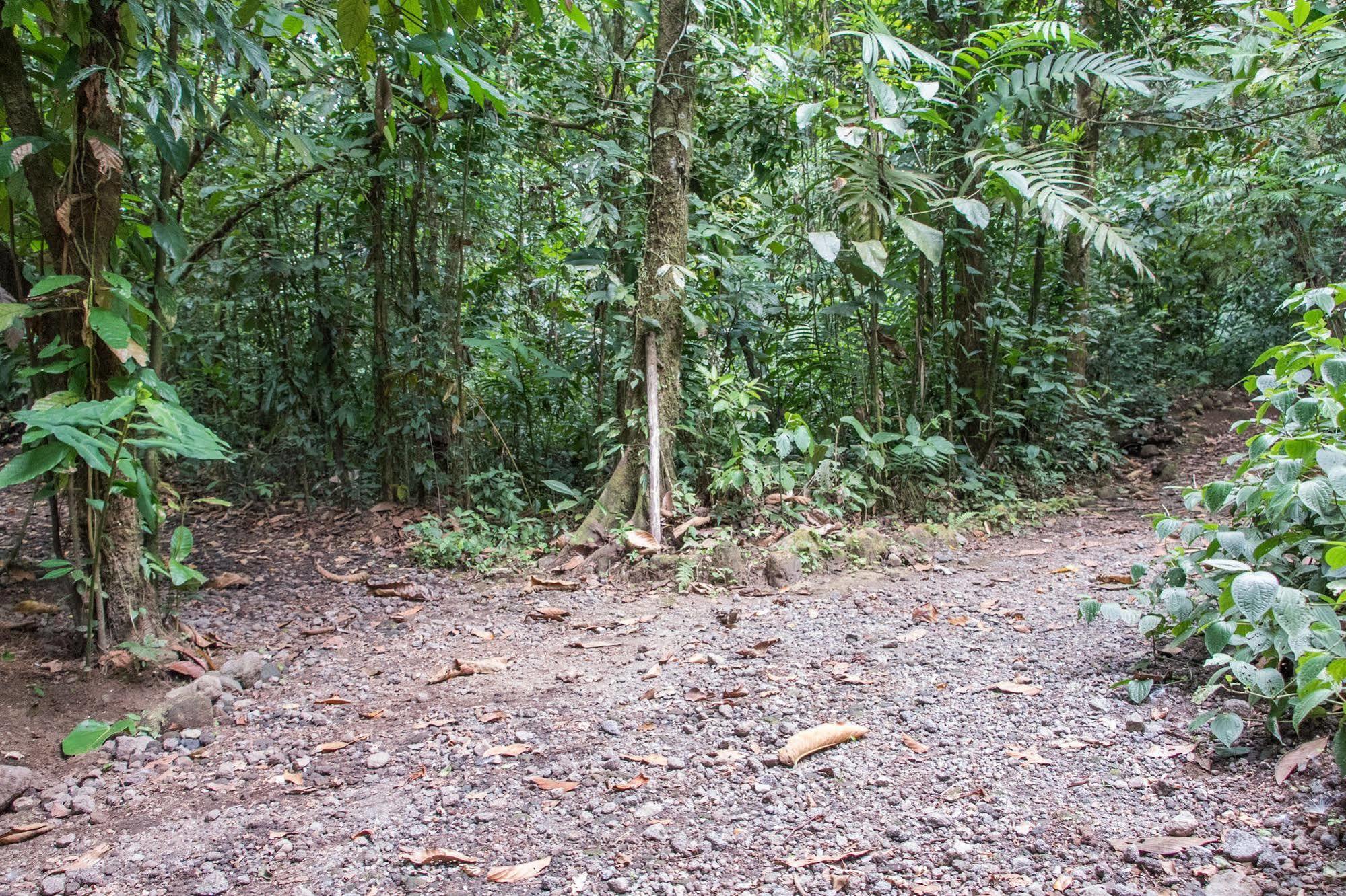 Arenal Oasis 2* La Fortuna