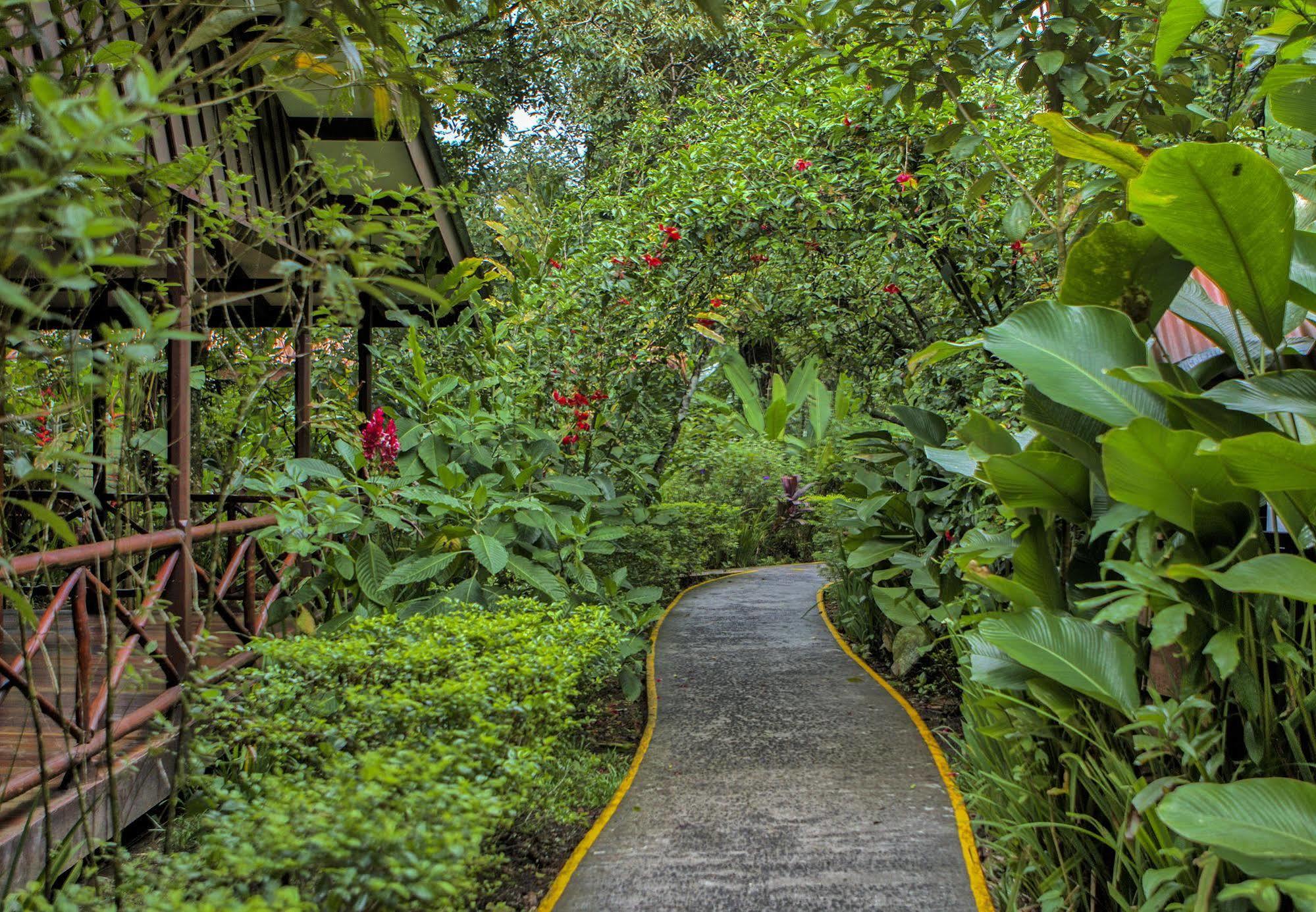 Hotel Pachira 4*