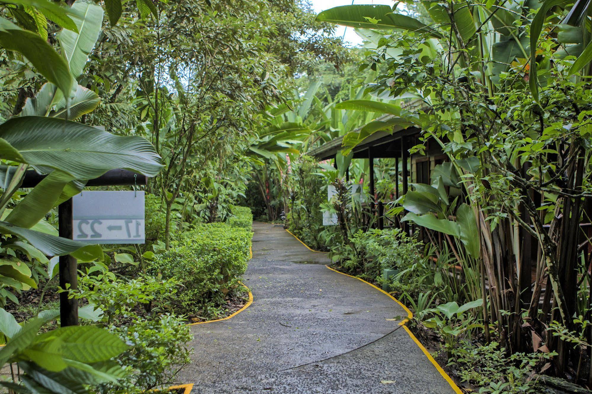 Pachira Hotel Tortuguero