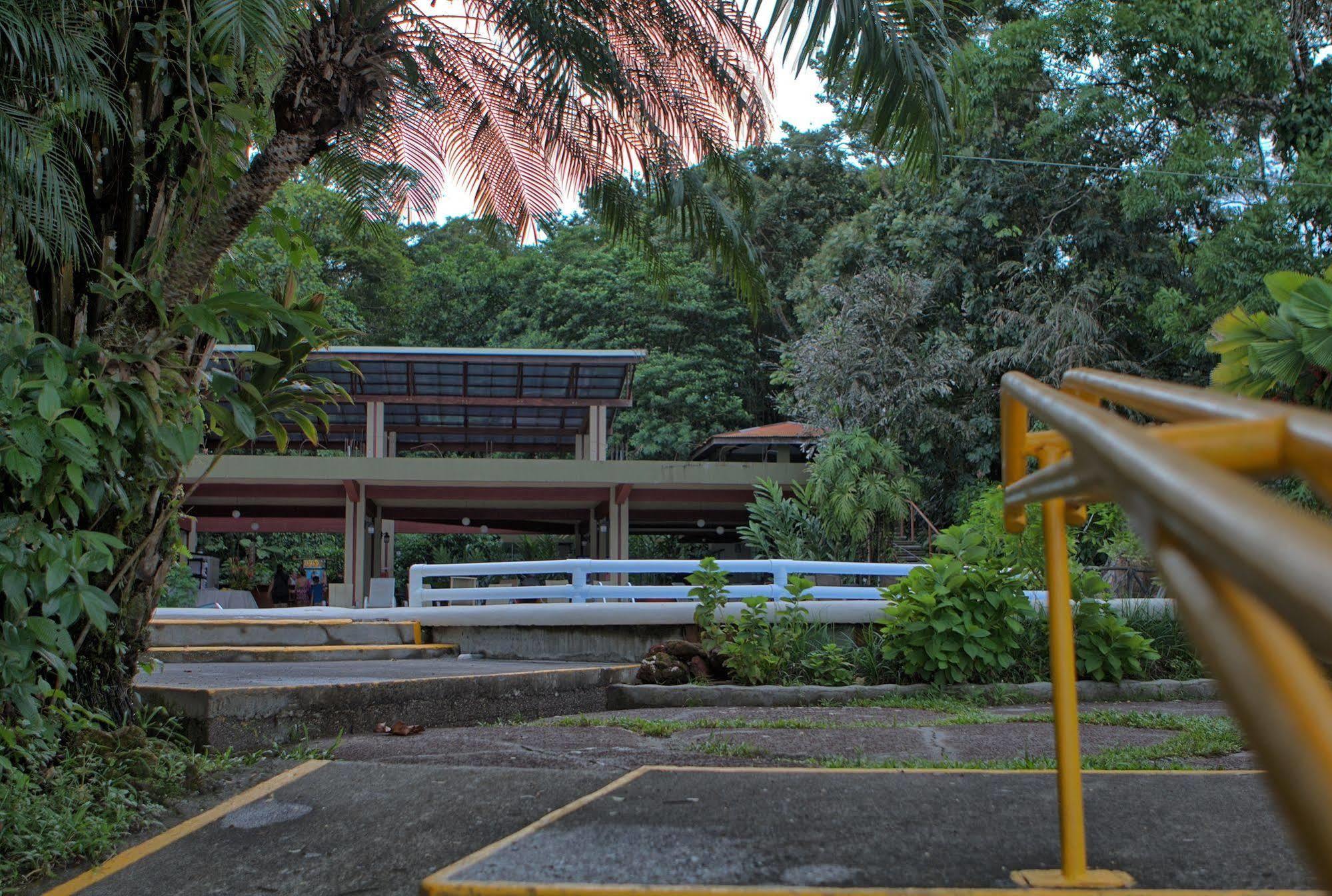 Pachira 4*