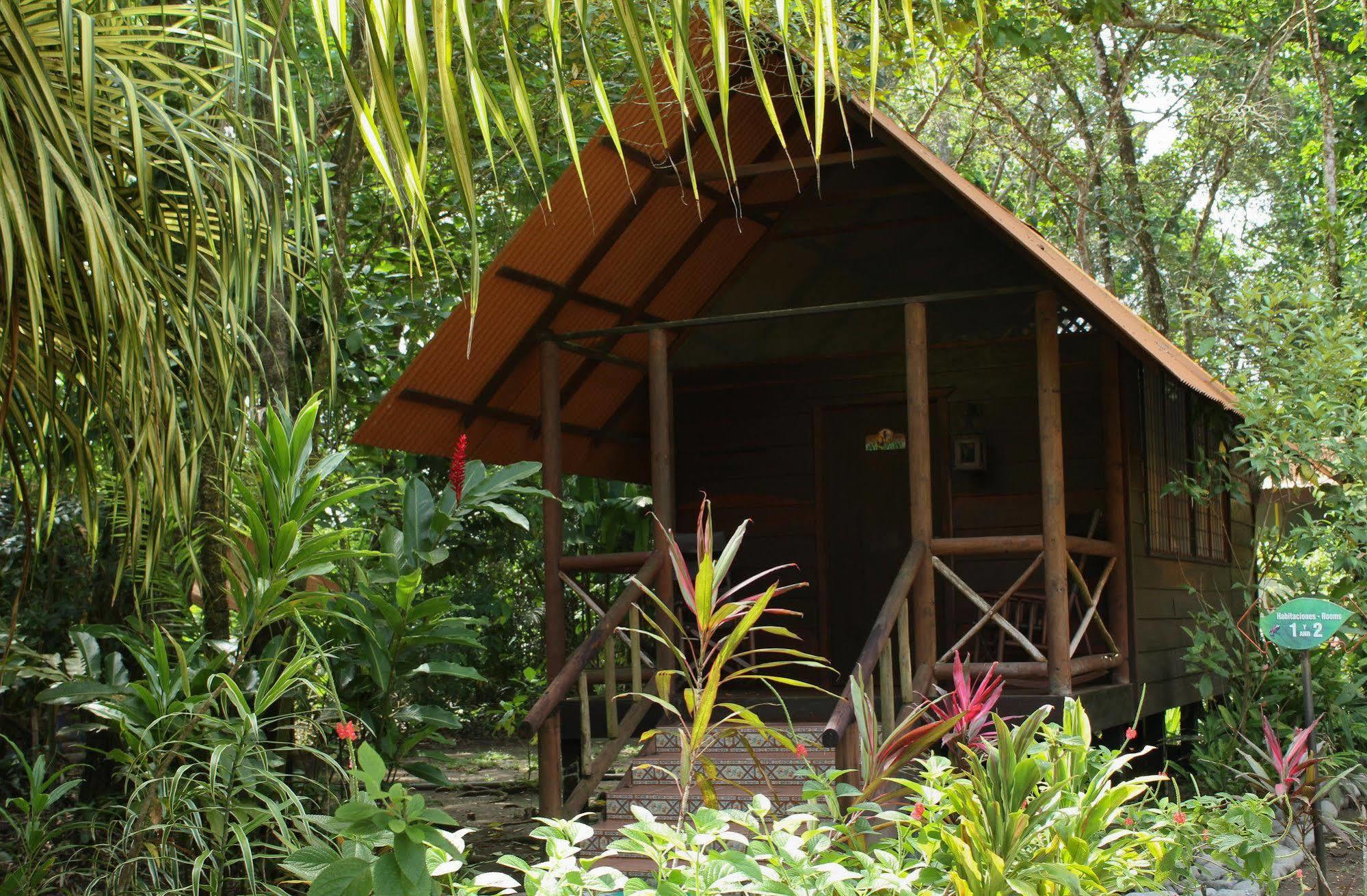 Lodge Evergreen