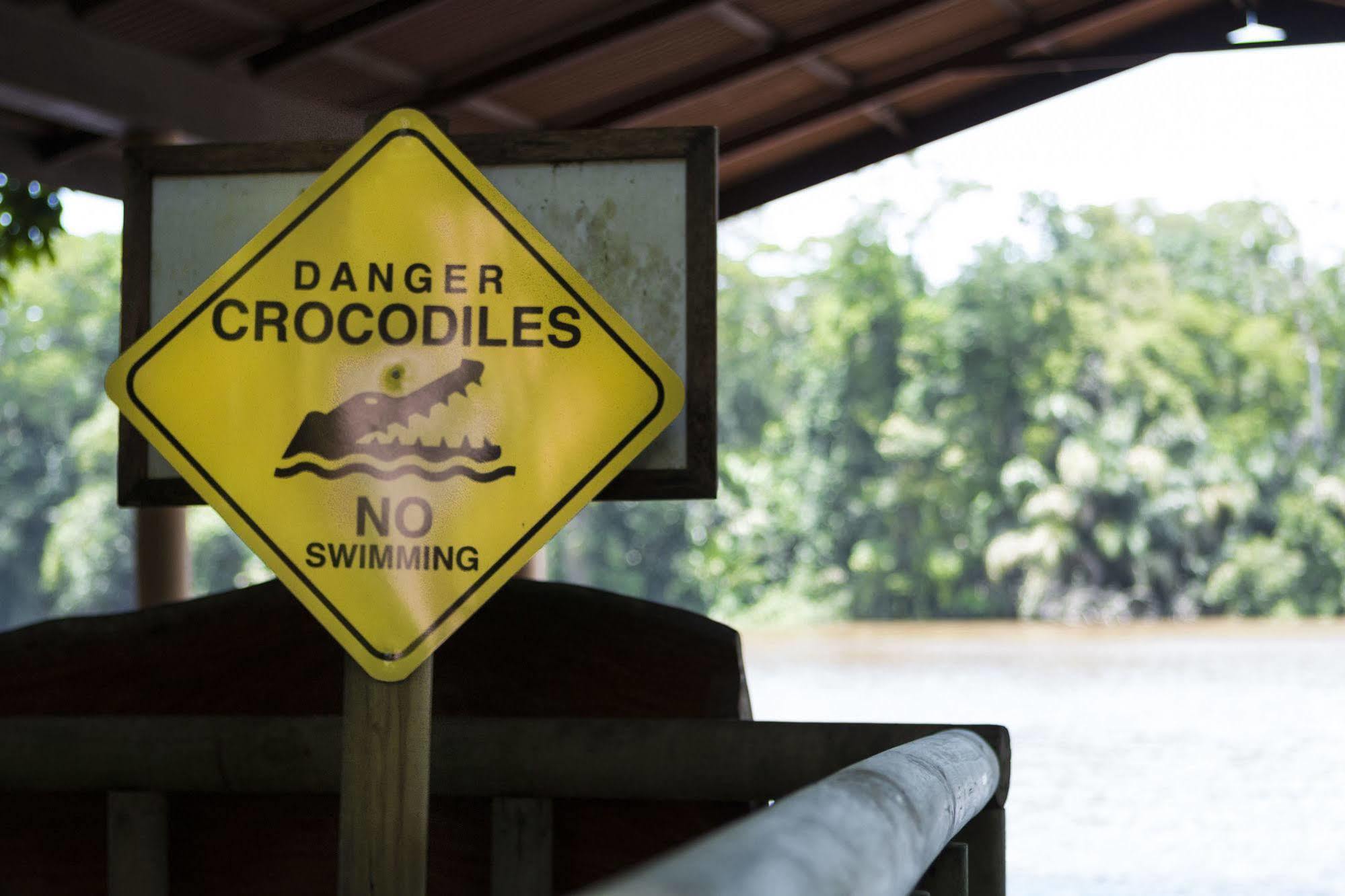 Evergreen * Tortuguero