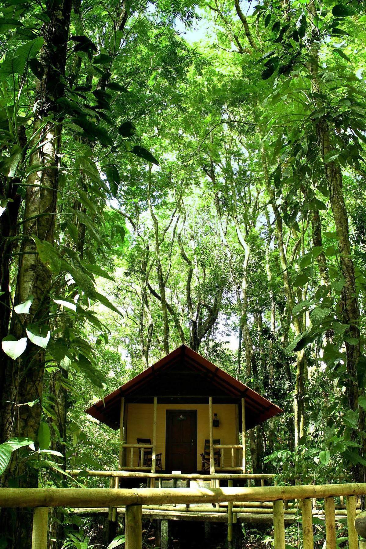 Evergreen Lodge Tortuguero