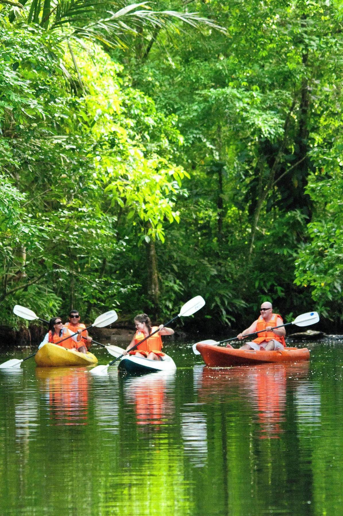 Evergreen * Tortuguero