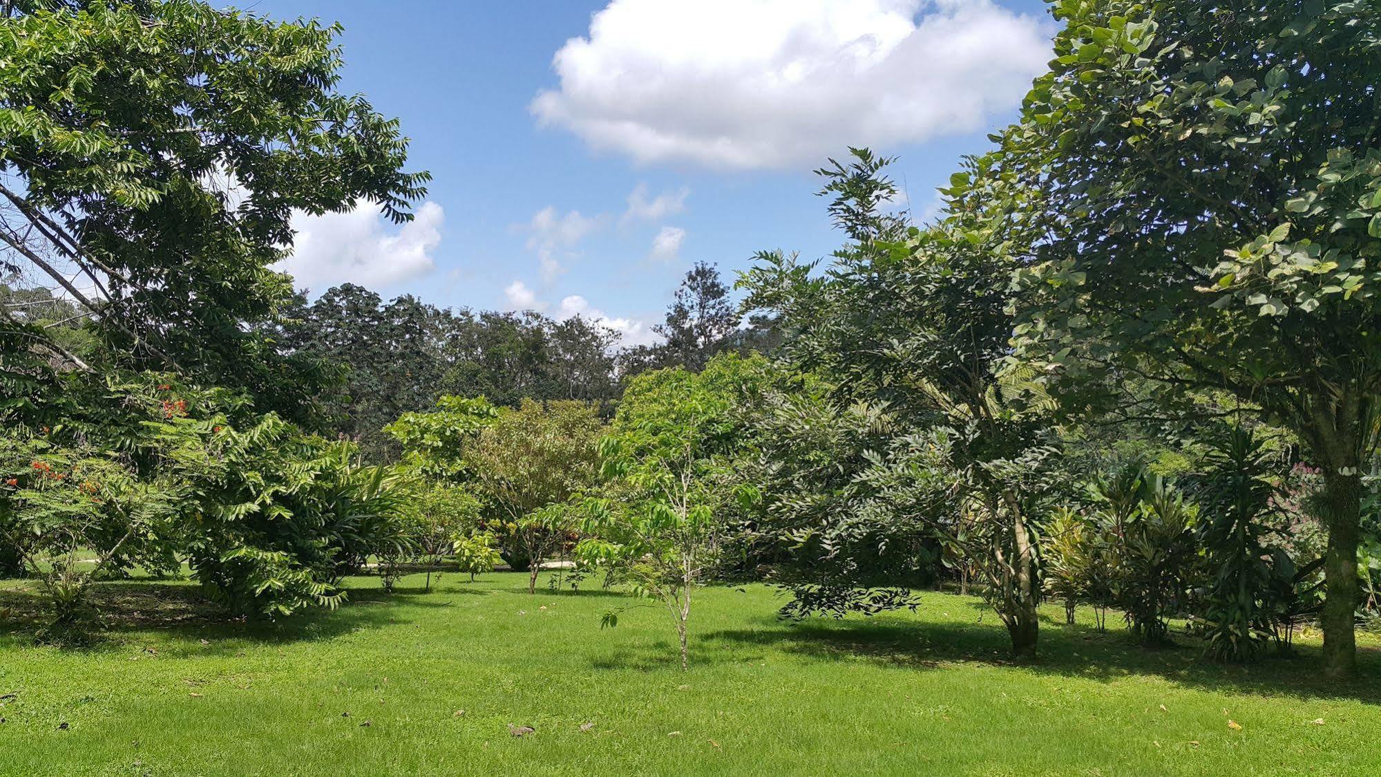 Cataratas Lodge, Incluye Tour Autoguiado Waterfalls Hike Holiday park 2*