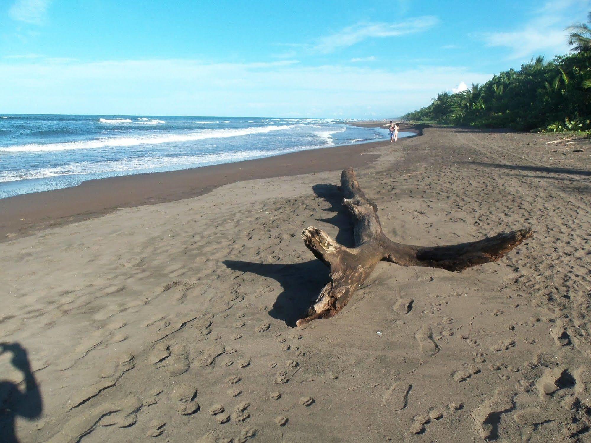 Miss Junies Hotel Tortuguero