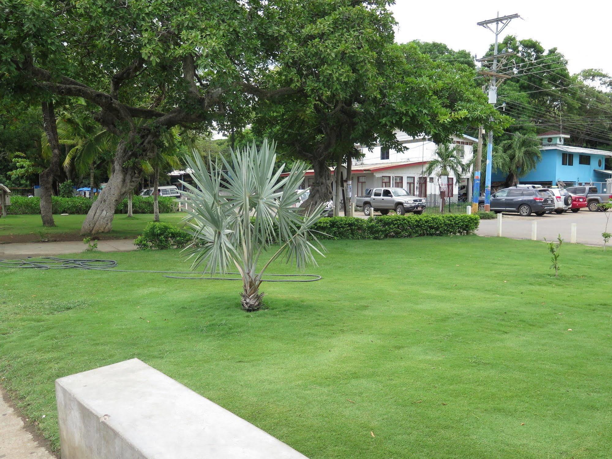 Hotel Savannah Playas del Coco
