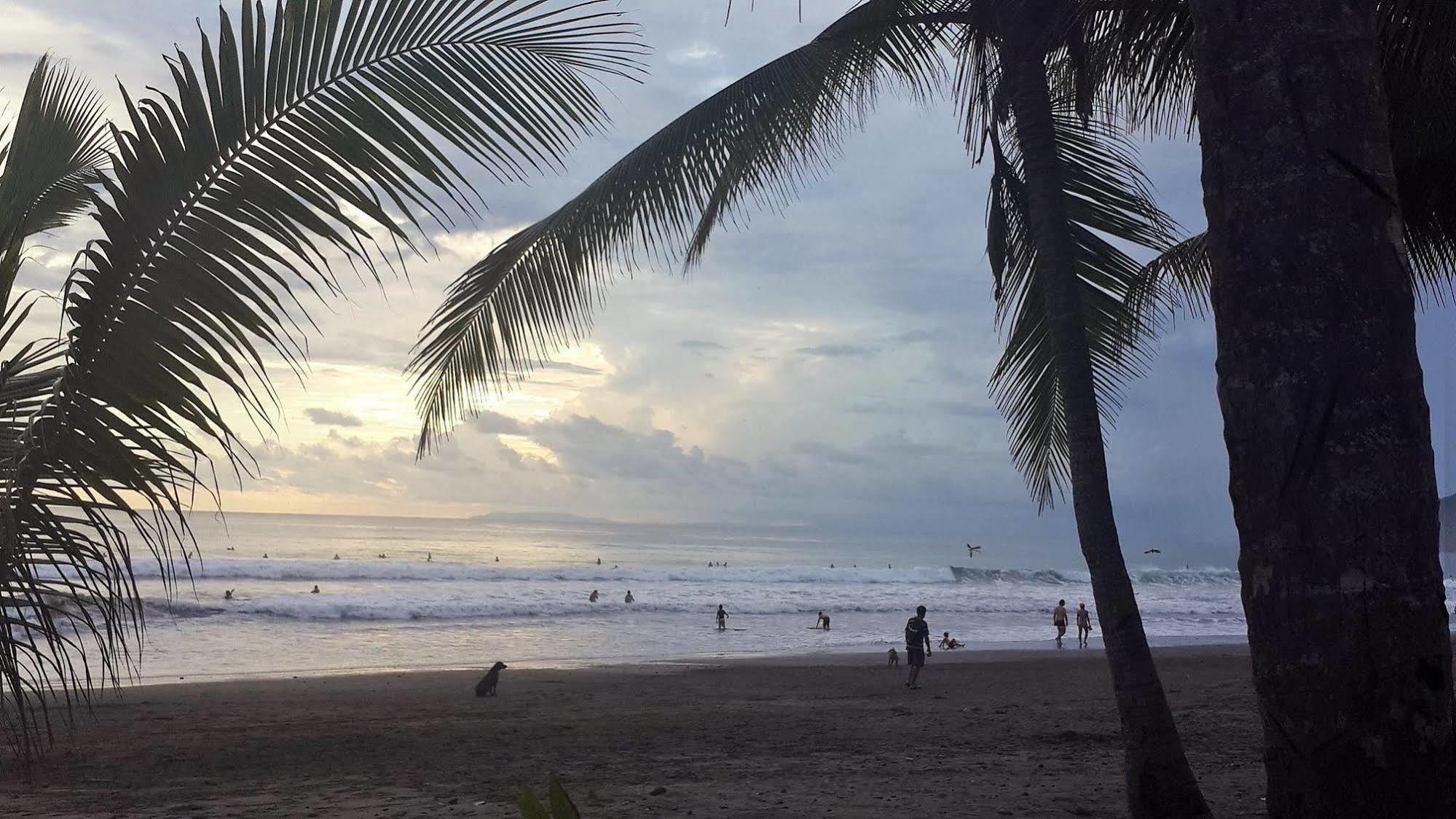 Hotel South - Beachfront