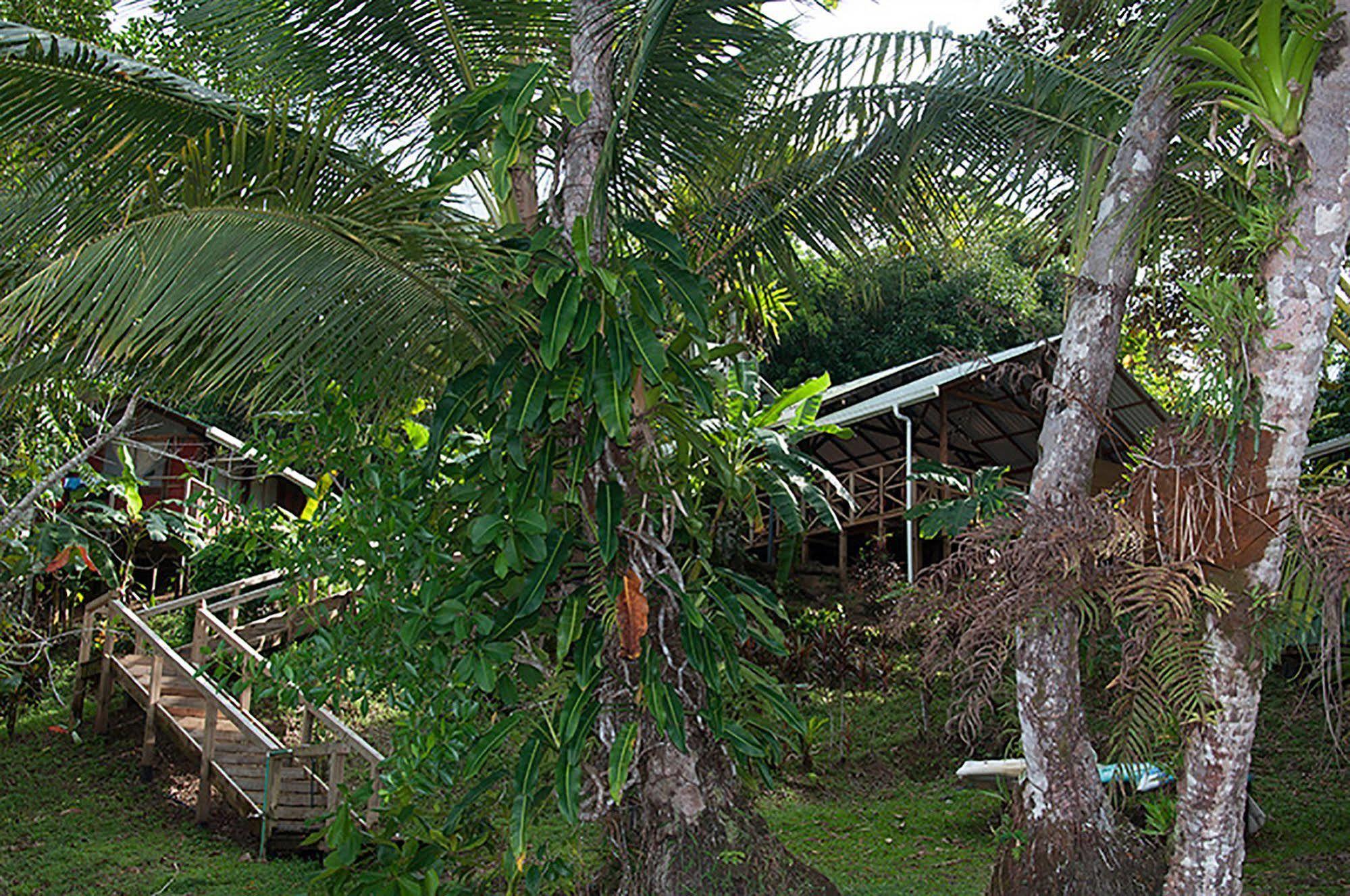 Pirate Cove 4*