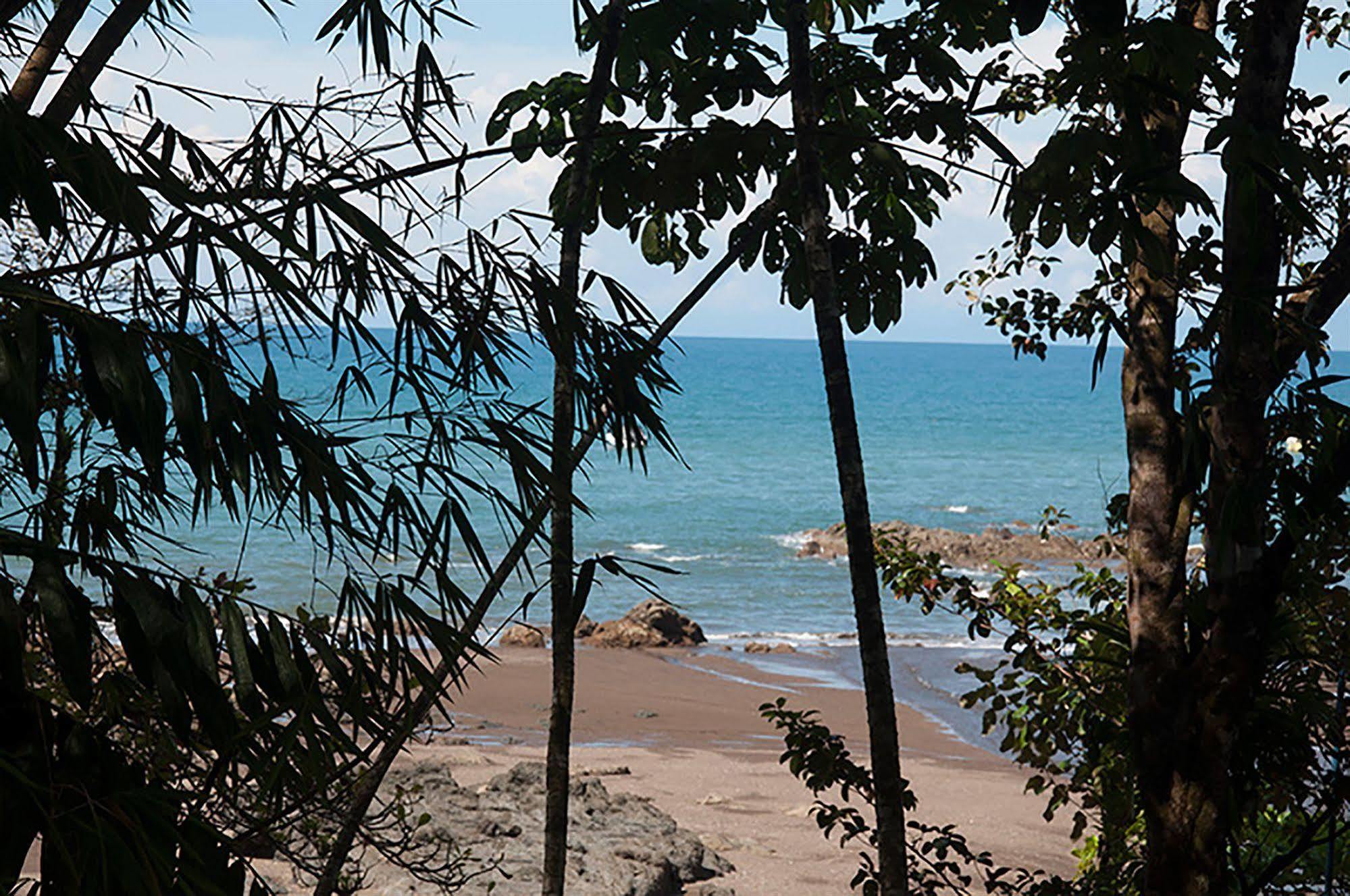 Pirate Cove Hotel