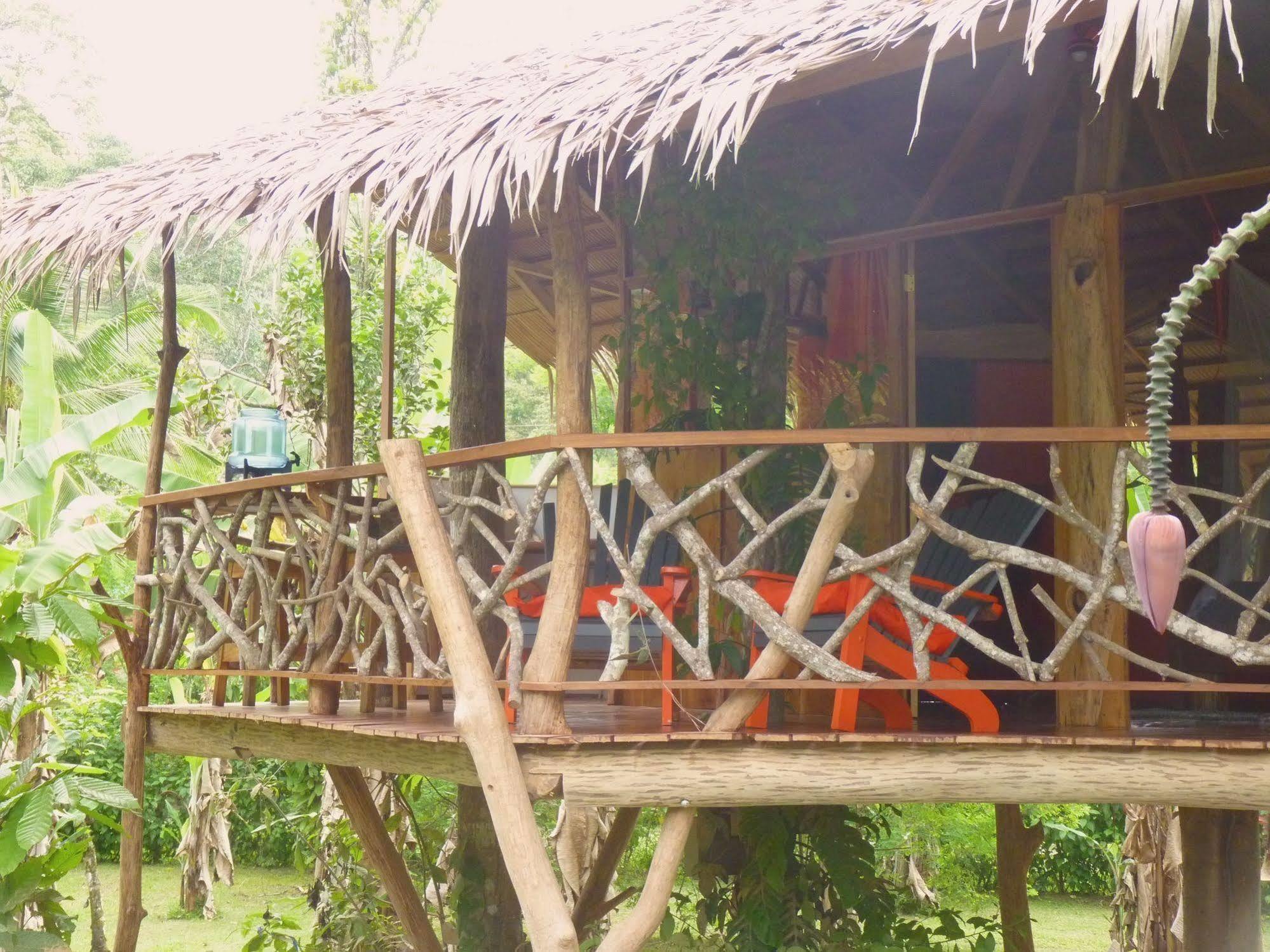 3 Bamboo Eco