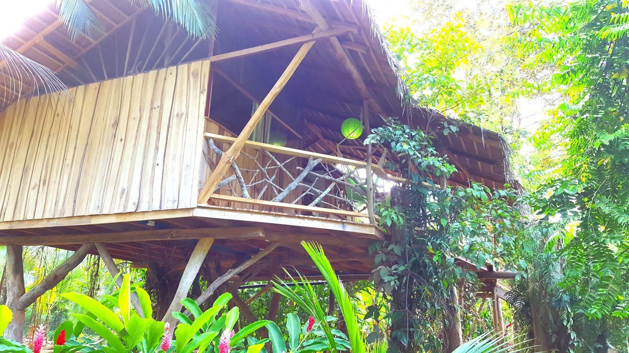 3 Bamboo Eco Bed & Breakfast Cahuita